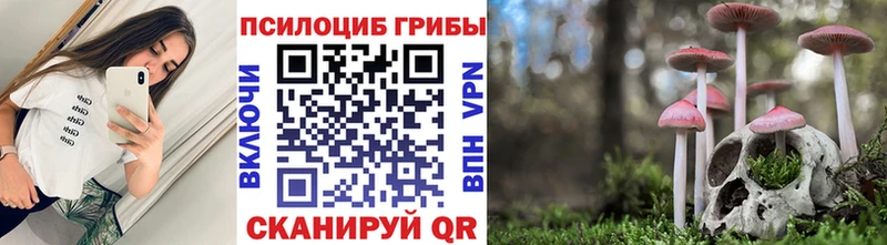 Псилоцибиновые грибы GOLDEN TEACHER Калязин